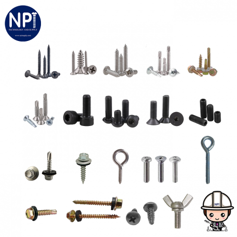  สกรูชนิดต่างๆ